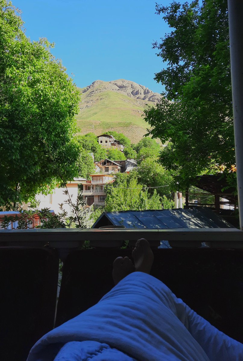 گاو چرون tweet media