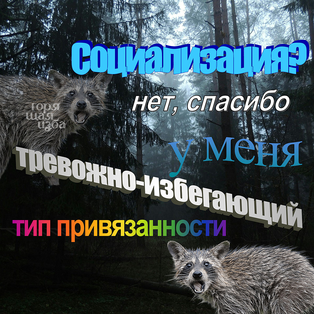 легущка подружка tweet media