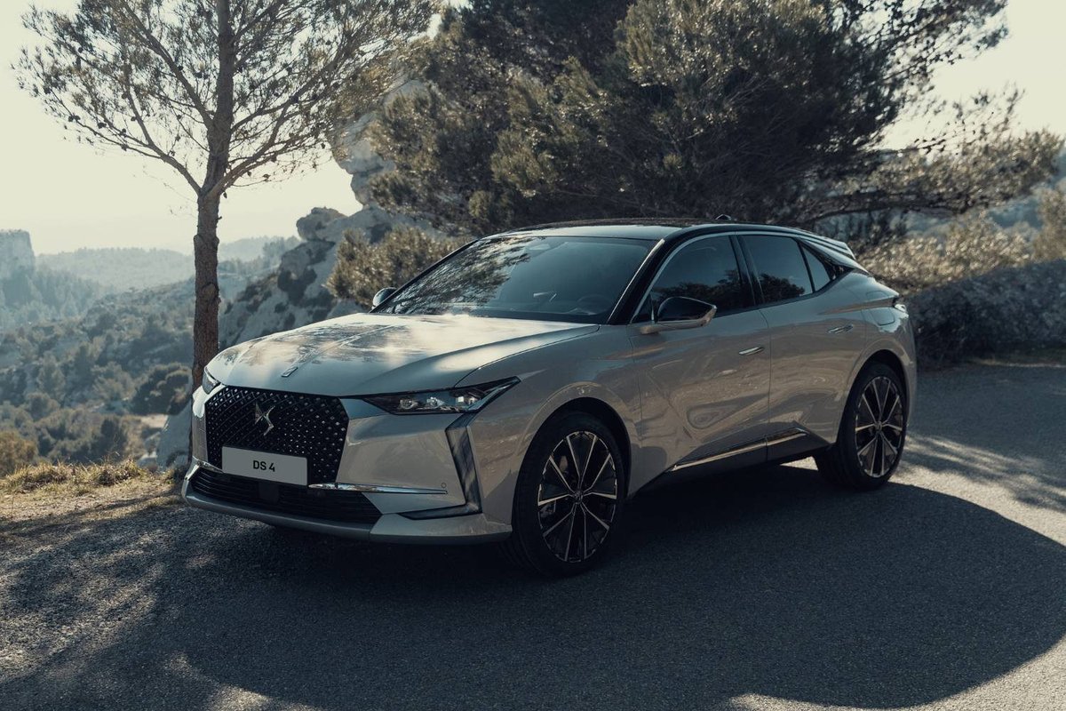 IMAGE Media tweet media