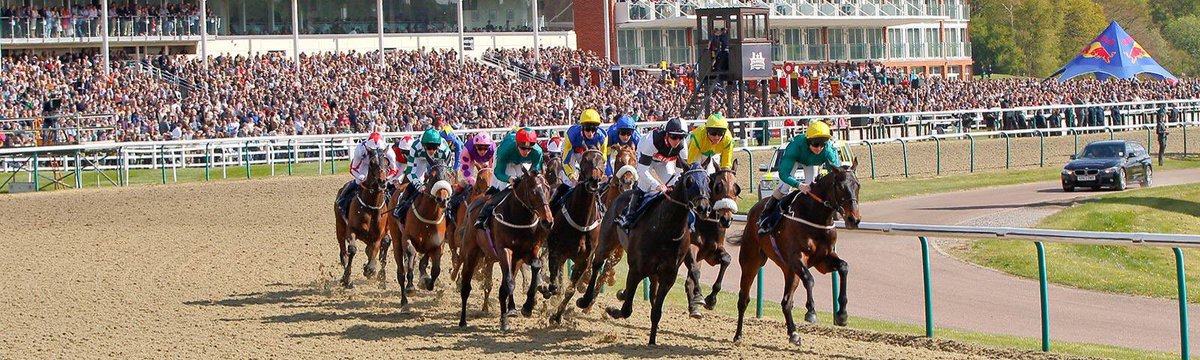 RacingRadar's tweet photo. Todays’s free tips are ready @LingfieldPark follow me on telegram for instant free tips (link in my bio) #bettingtips #bettingtwitter #Horses #horse #Tips #Racing https://t.co/WcCEnCNMR0
