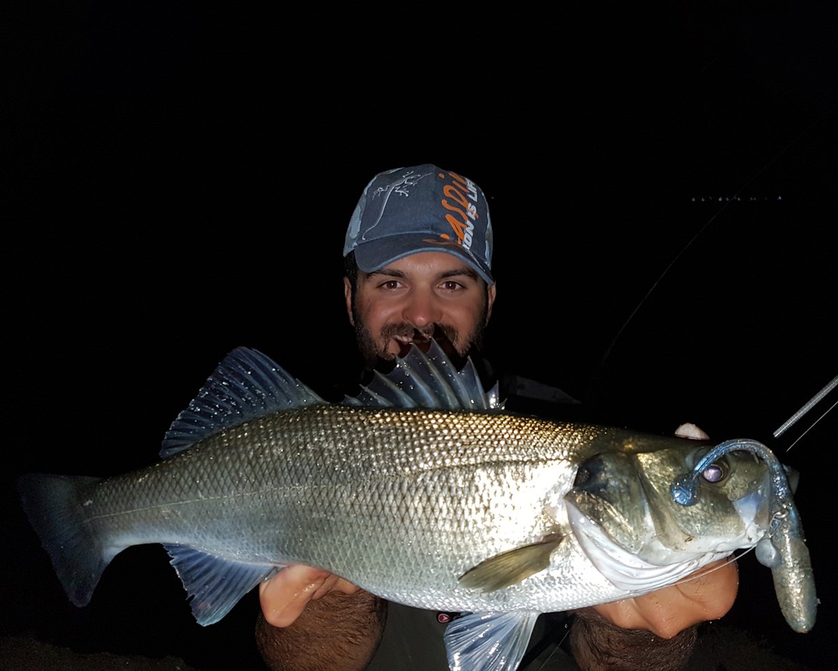 Pendolino Rig System per Alessandro Deidda!
​
seaspin.com

#seaspin #utopiatackle #lures #saltwaterfishing #spinning #fishinglures #fishingtackle #fishing #bigfish #seafishing