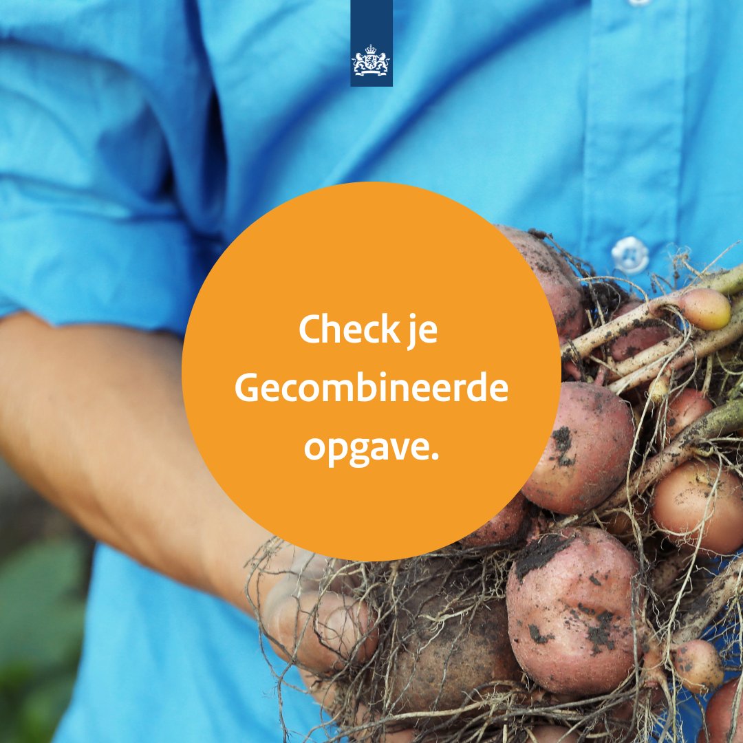 RVO_Agrarisch's tweet image. Check je percelen met eco-activiteiten in de opgave. Door technische problemen zag je eerder misschien verkeerde punten en een verkeerde waarde. 

Sla je percelen op voor een juiste gehaalde waarde. En verstuur direct je opgave opnieuw.

Meer info ➡️ bit.ly/3MVFGxl