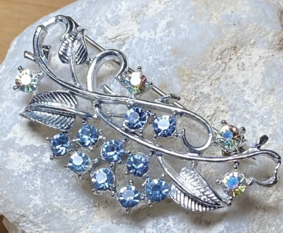 Vintage 50’s Era Blue and Rainbow AB Rhinestone Floral Ivy Brooch

ebay.com/itm/1757512042…

#vintagejewelry #brooch #silver #rhinestones #bridal #jewelry