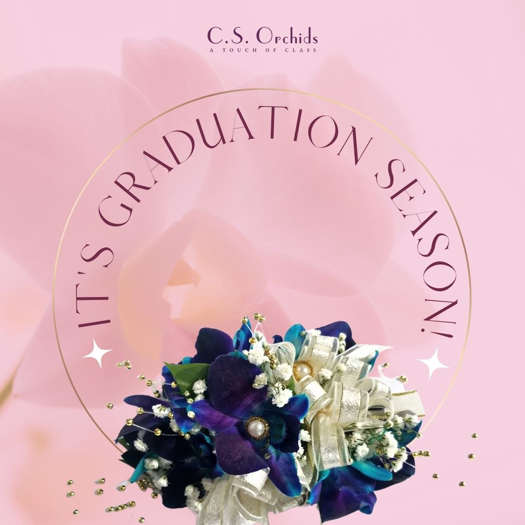 Graduation season is here! Complete your elegant attire with a stunning corsage or boutonniere from CS Orchids. Each piece is meticulously designed to provide a stylish and dazzling effect, perfectly complementing your graduation outfit.