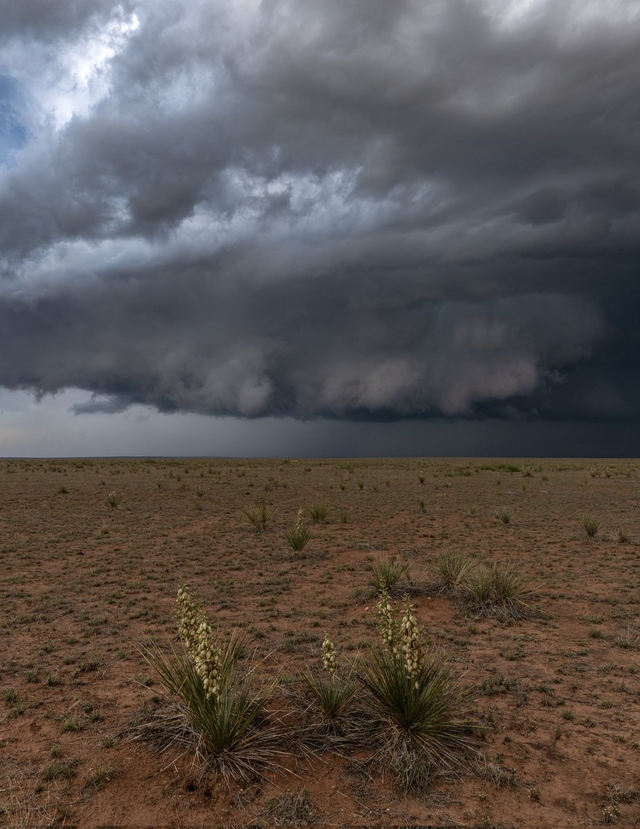 A few shots from the end of May in New Mexico #nmwx