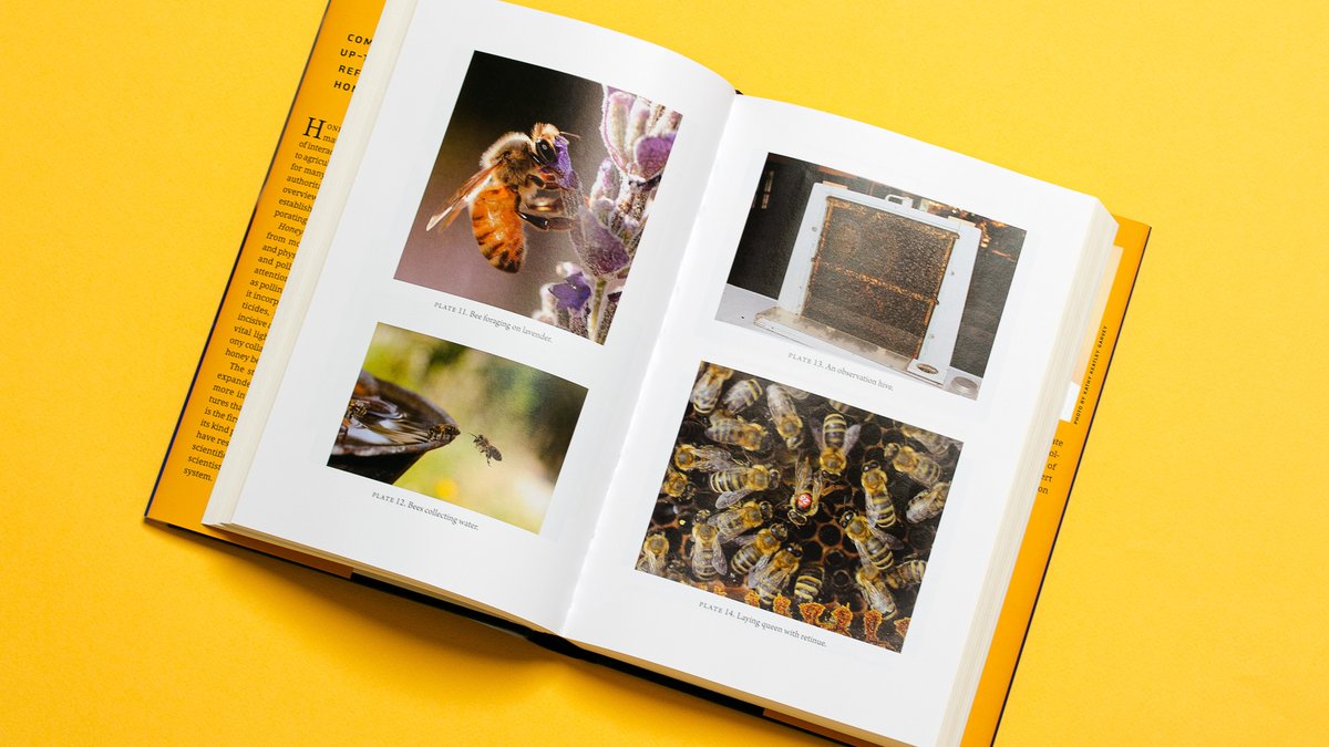 PrincetonNature's tweet photo. π Honey Bee Biology is a must-have for academics and bee enthusiasts alike. Explore the latest research on genetics, behavior, and pollination biology. Out today in hardcover and ebook! https://t.co/bUI846lzWT
#BeeTwitter #TwitterNatureCommunity https://t.co/5qMimGQVKn