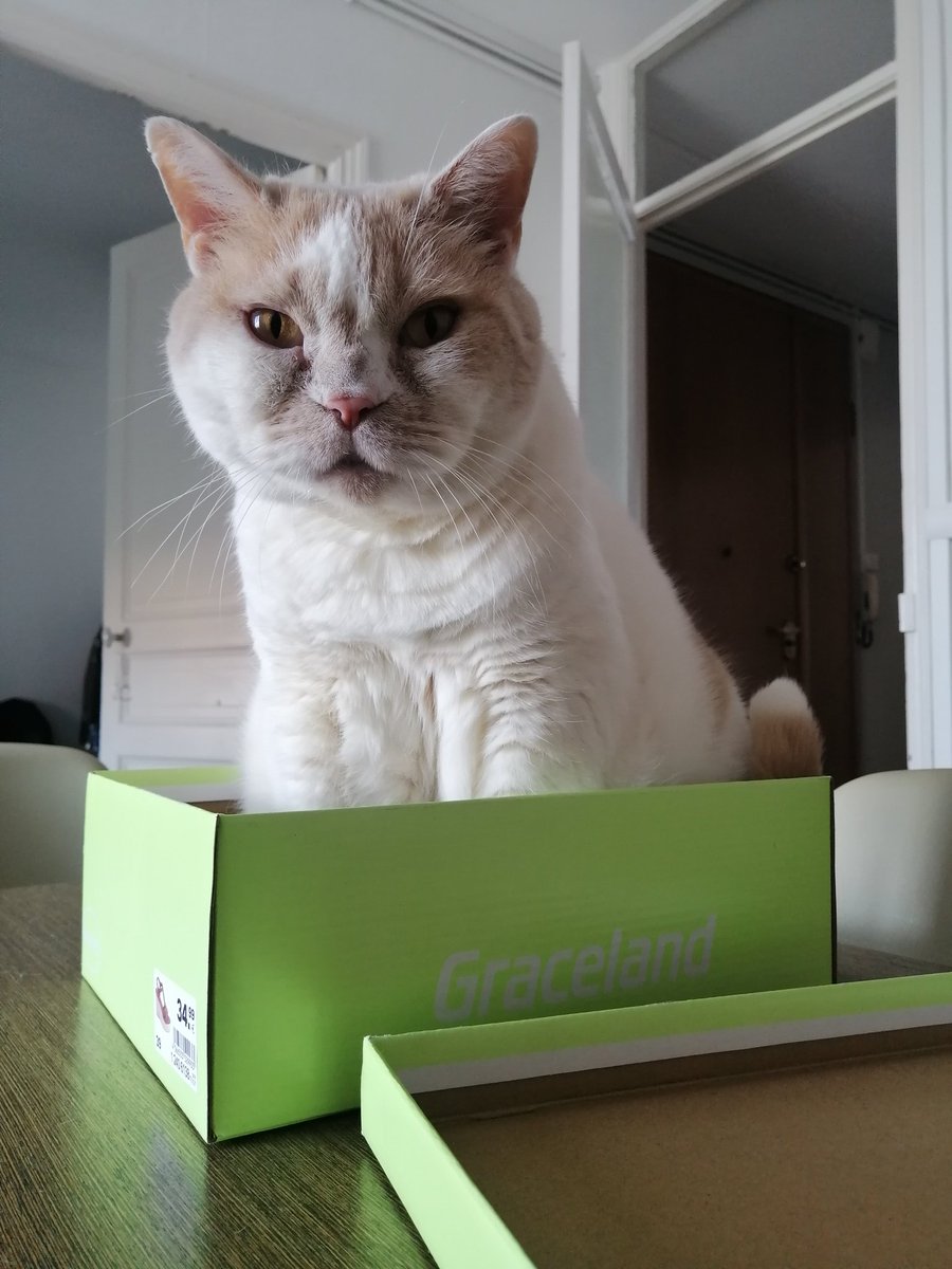 FilouIsidore's tweet image. Ma boiteeee 😍