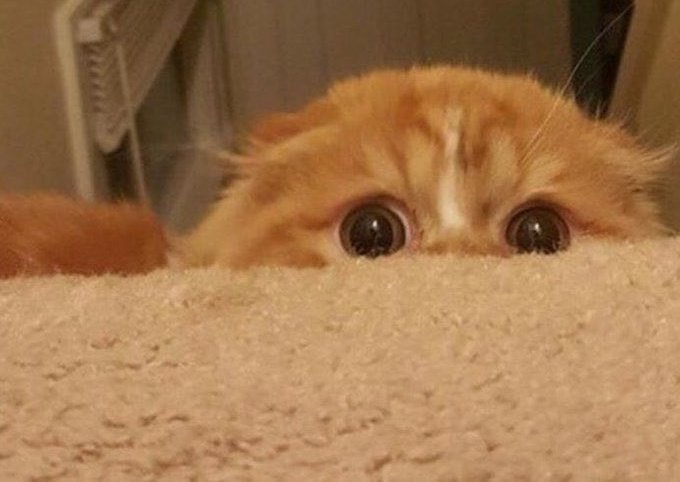 suhocottoni's tweet image. ♦️♦️بچها اینجا کسی کامپیوتر میخونه؟؟♦️♦️