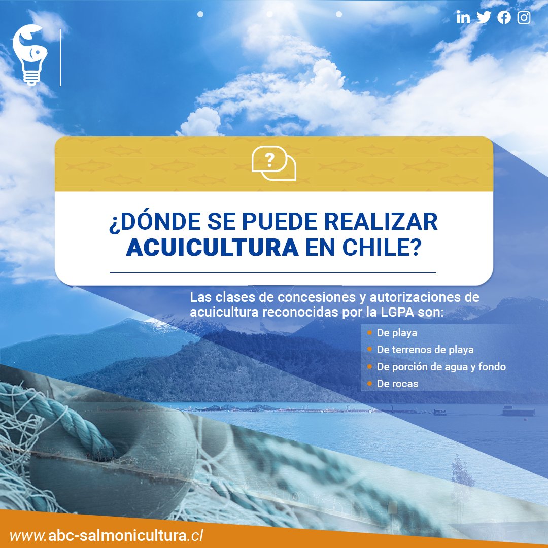 🐟La acuicultura es una actividad bastante normada en Chile. Las concesiones acuícolas se otorgan bajo ciertas condiciones y deben encontrarse en las llamadas Áreas Aptas para la Acuicultura (AAA). Conoce más aquí: acortar.link/MA3pGp.