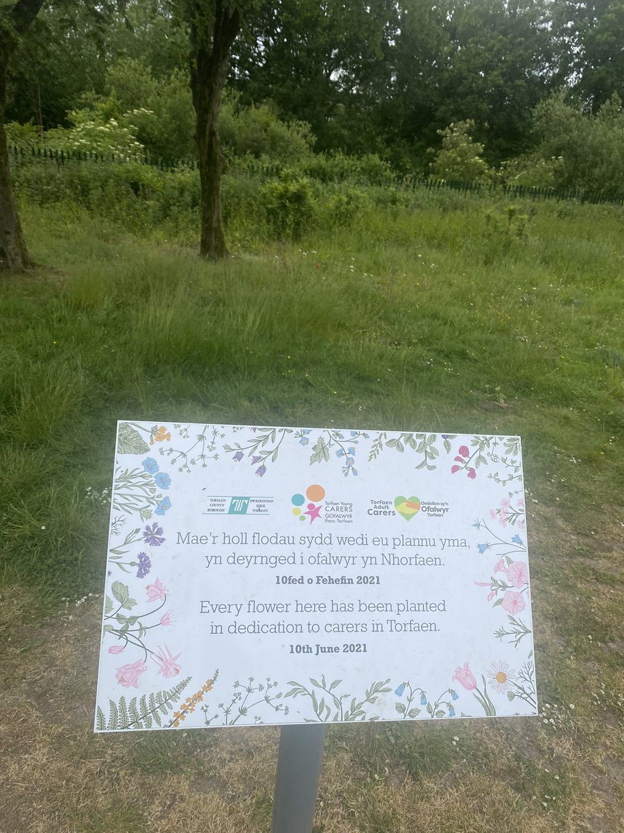 I’m a carer. This is our local park. I’m not angered by it. It makes me laugh. It was put there by well meaning people, but 2 years on, it’s underfunded, unsupported and only the strongest few flowers thrive. The rest of us are lost in the long grass. #RealCarersWeek