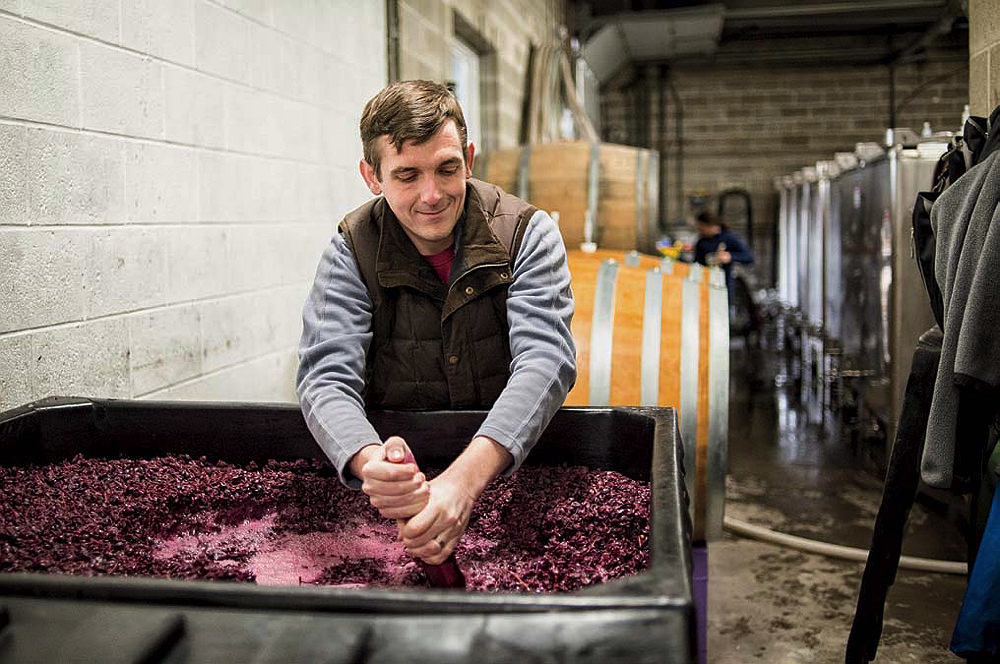 WAAAweb3's tweet image. Renowned winemaker Kelby James Russell opens Apollo&apos;s Praise winery in New York&apos;s Finger Lakes region. He has made highly rated wines at Red Newt Cellars and Empire Estate for the past 11 years
#wine #rolex #hkweb3 #hkwine #852web3 #FineWine #hknft #wineinvestment