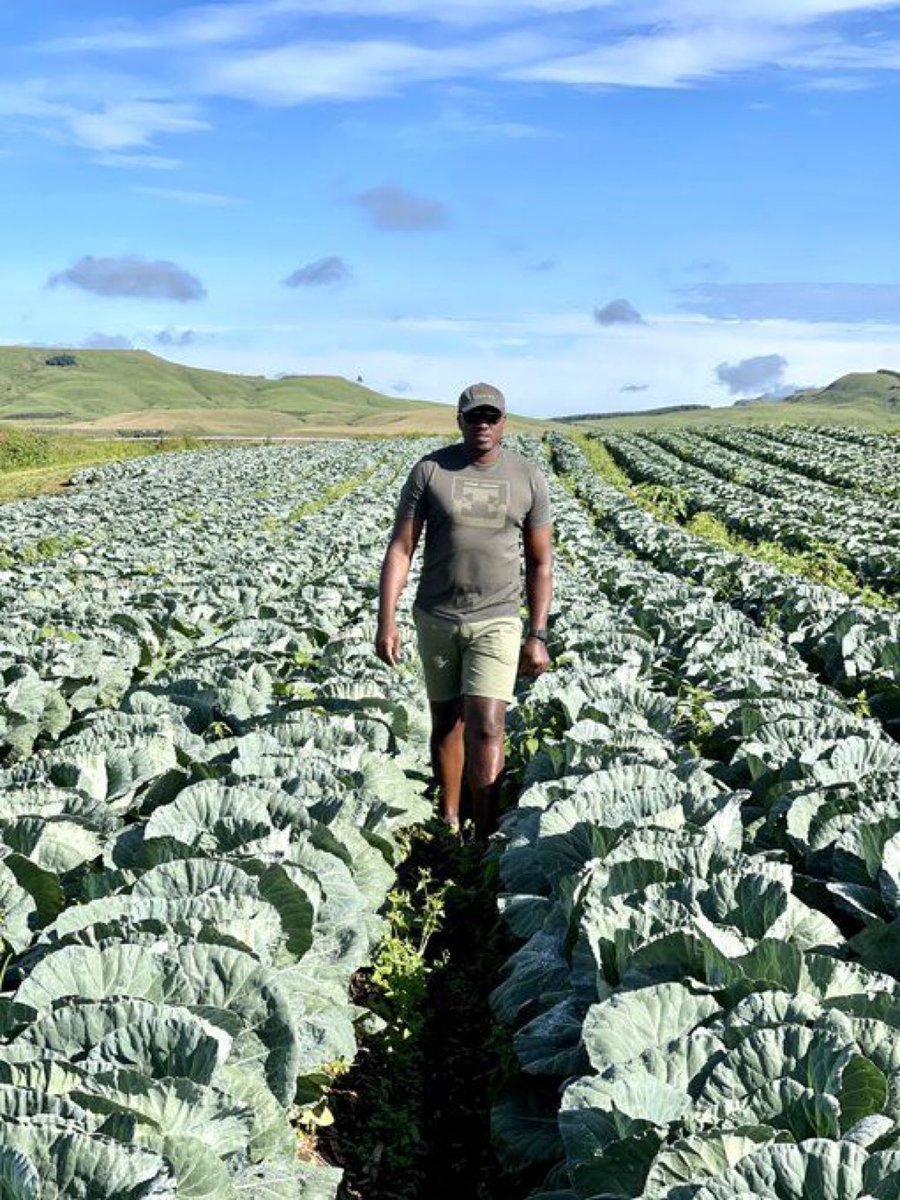 Agriculture will continue to be the leading employer in Africa, and the next African millionaires will be from modern agriculture.

Agree?
#FoodSecurity #YouthInAgriculture @MusafarmFoods @YALIRLCEA @YALIRLCAlumniUg @smartjosh