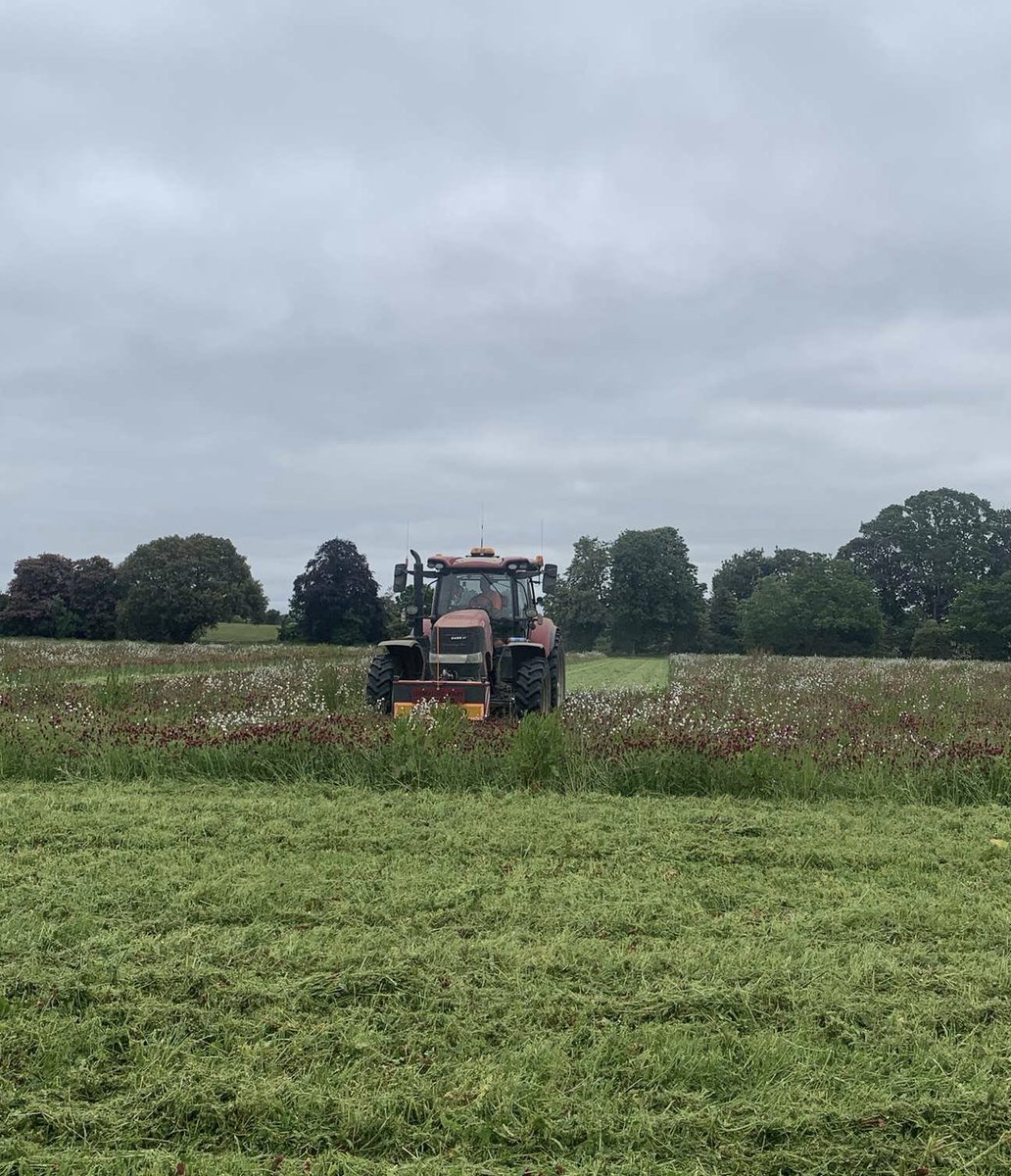Fertility building clover leys rocketing, keeping both the mower and sheep rather busy.