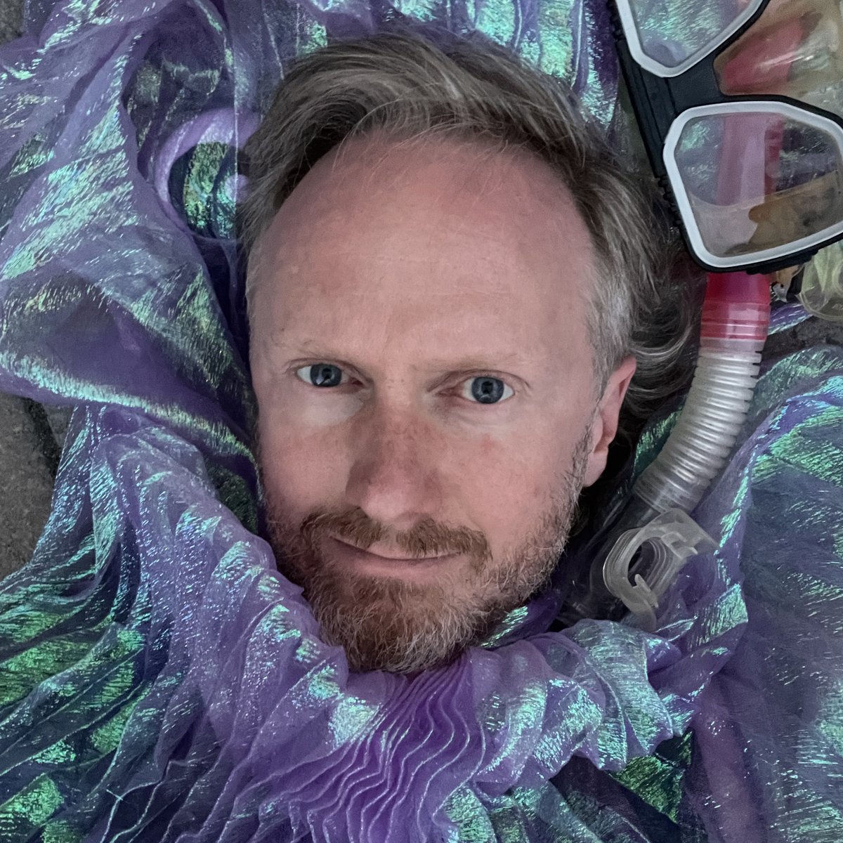 Ross Beach tweet media