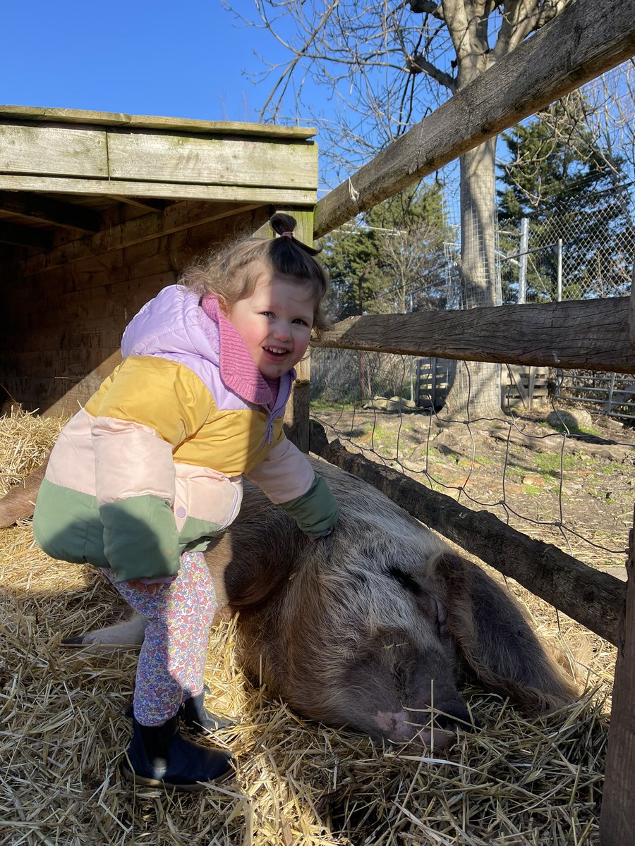 🐐 HAPPY TUESDAY!!! 🐹 It’s LEAF open farm Sunday, 11th June, to celebrate this day we have the following on: 🐹 Animal encounters 🆓
☕️ Tea, Coffee &amp; light Refreshments 🧁 
We look forward to seeing you all there 💕 🍃 🍃 

⏰ 1pm - 3pm ⏰ 

💚
#kentishtowncityfarm #leaf