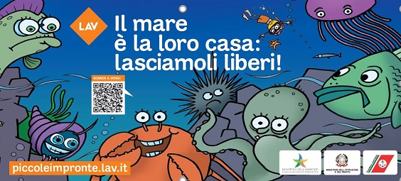 Giacomo Bottinelli - LAV #animali tweet media