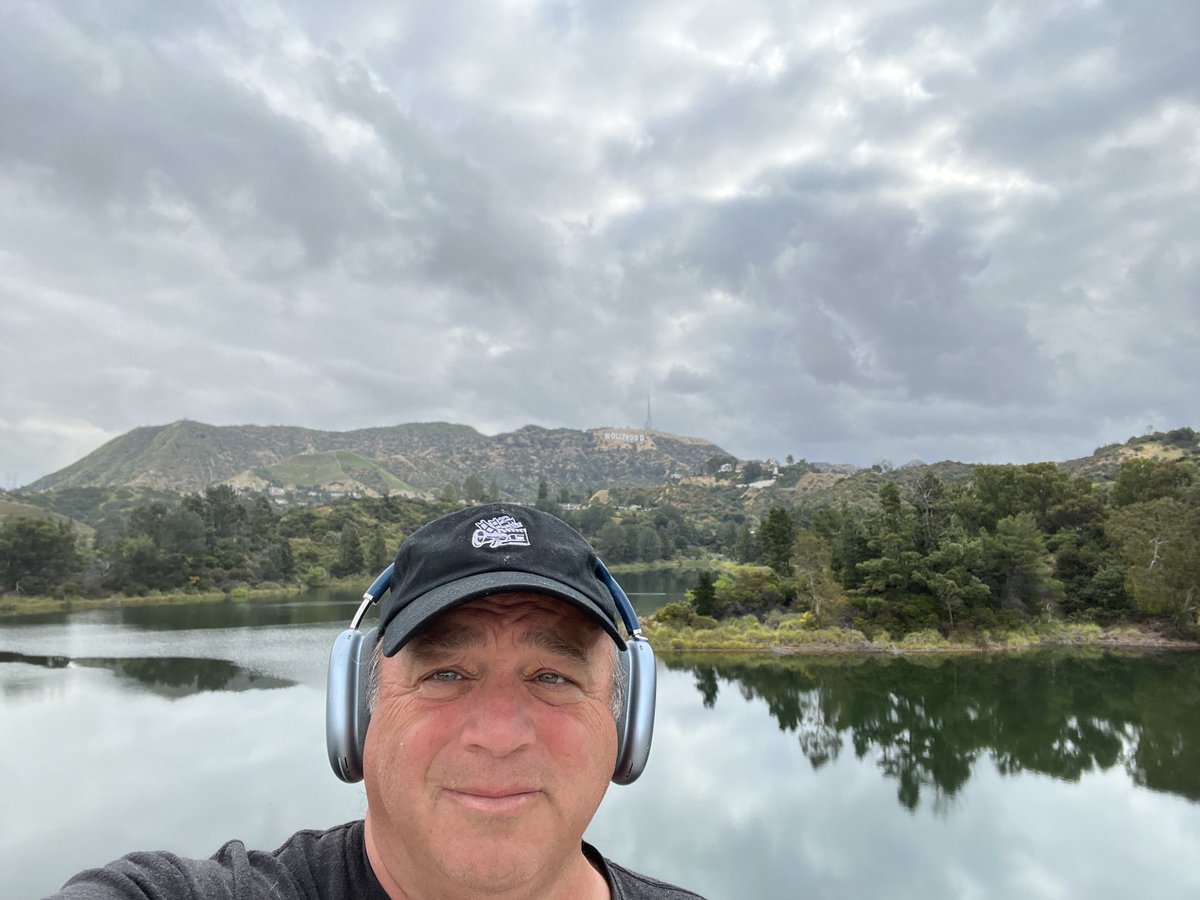 David Wild tweet media