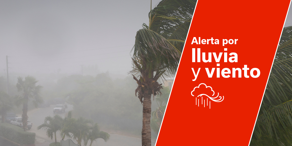 Ante #AlertaViento en #LaPalma y #Tenerife y #AlertaLluvias en islas occidentales y #GranCanaria extrema la precaución al circular y planifica los desplazamientos con un margen de tiempo superior al previsto.

Más información ⬇️
www3.gobiernodecanarias.org/noticias/categ…