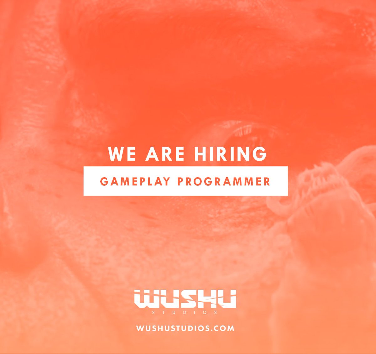 Wushu Studios tweet media