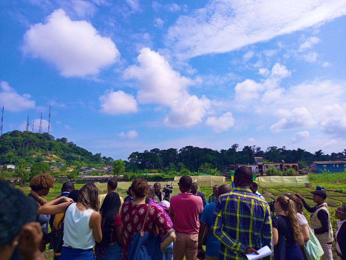 Toujours dans le cadre de  la #Nuitdesidées2023  nous avons visité ce mardi, les jardins de l’IGAD au pk8.
Cette visite nous a donné une perspective concrète sur ce que l’on consomme, en nous permettant de comprendre les conditions nécessaires à la croissance des aliments locaux.