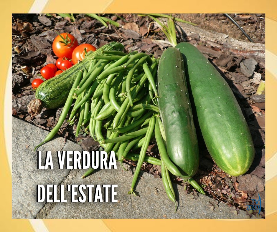 Quali sono le #verdure di stagione da mettere nel carrello? Rispettare la stagionalità dei prodotti è molto importante, ma come saranno i mesi estivi per quel che riguarda il raccolto? Ed i prezzi? VEDIAMOCI CHIARO oggi #8giugno h10:30 su <a href="/TV2000it/">Tv2000.it</a> (Canale 28, Sky 157) 🍅🍆🫑