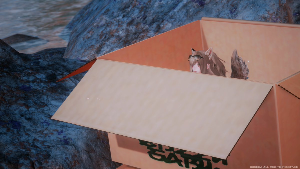 7lsense's tweet image. #メンテの日なのでssを貼る
はやく🦊のお家を作ってください！！！！