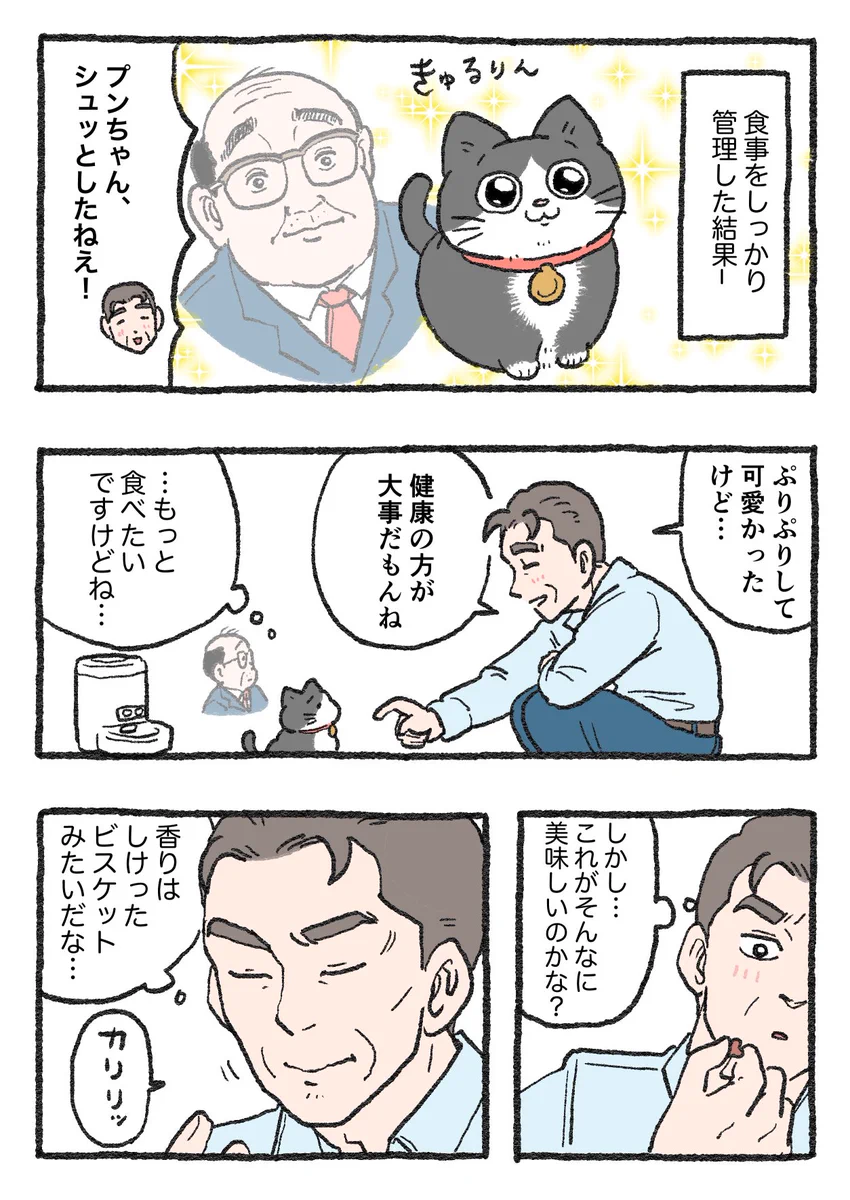 「ねこ転」その122が公開！食事管理の結果、プンちゃんは…！？