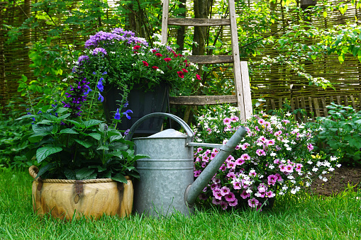 News from the Quiet Garden Movement... - mailchi.mp/22fbae5d6605/q…