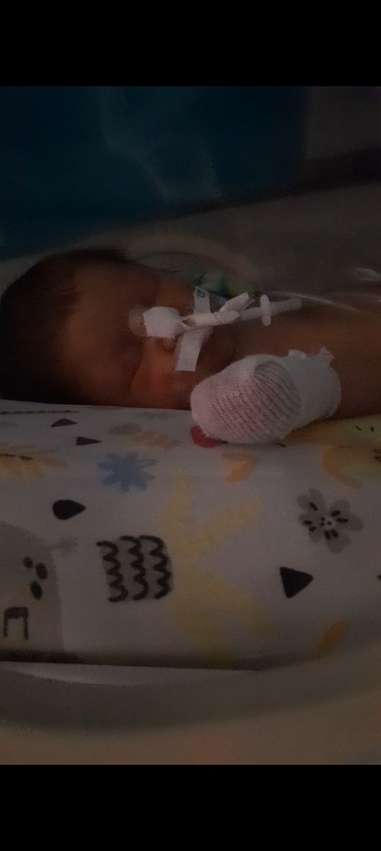 coronel_betha's tweet photo. Cadena de Oracion por Regina Aimé Soto...Esta mañana se descompensó, no resistió el oxígeno...Los Médicos no pueden hacer más nada, esperamos un milagro...Xfavor Diós te lo suplico🙏 https://t.co/fXARh3RmAJ