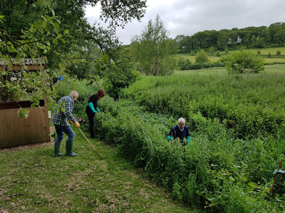 m_h_shelton's tweet image. When @HeritageFundUK (our funders) come to a chalk stream and you have a volunteer work party in full swing 😂🤸‍♀️
I think they enjoyed their visit!
#WatercressAndWinterbournes
#chalkstream #INNS #BalsamBashing #VolunteersWeek2023 @HantsIWWildlife