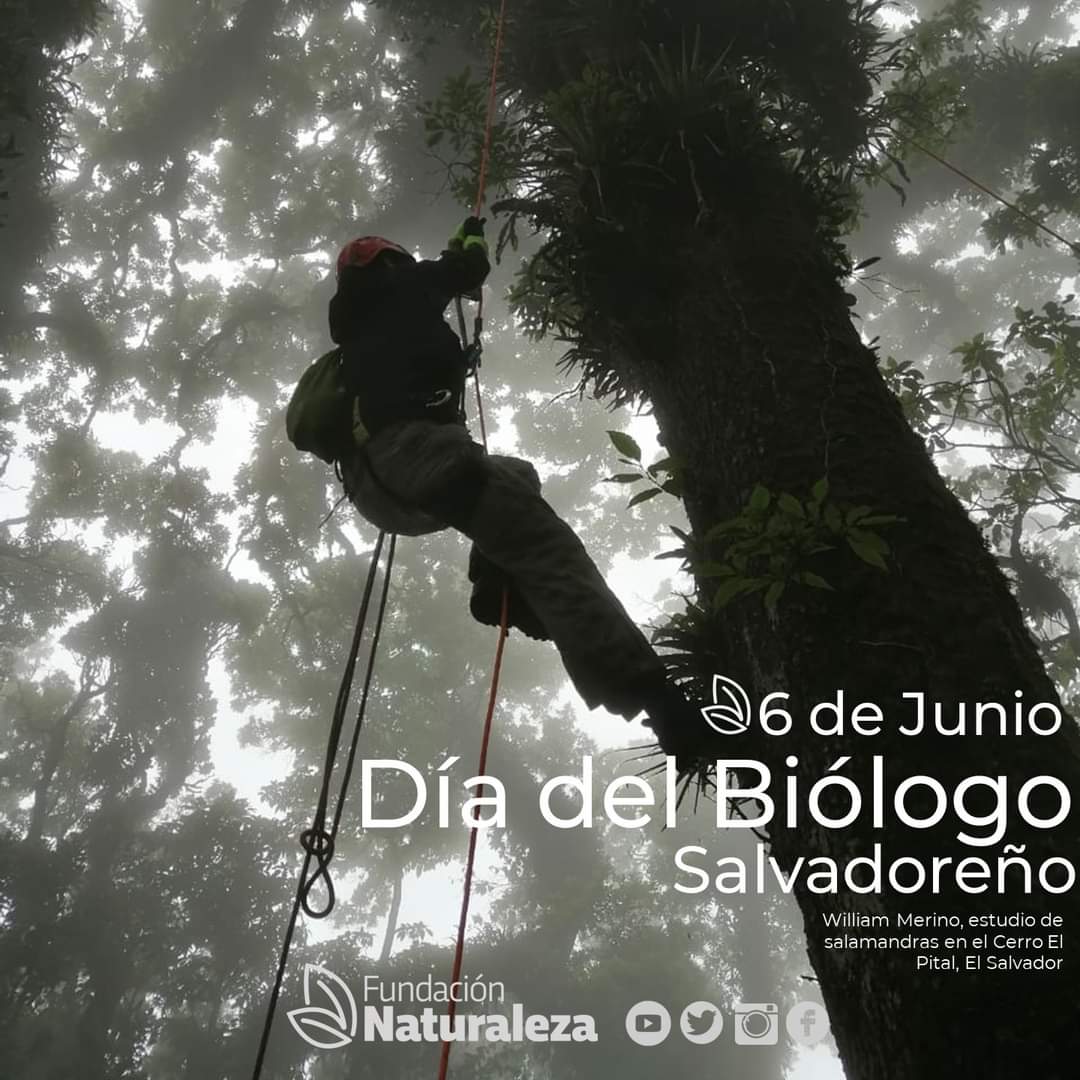fundanaturalez1's tweet photo. 6 de Junio 👩🔬👨🔬
Día del Biólogo Salvadoreño
Este día queremos reconocer a todos los biólogos salvadoreños por su arduo trabajo en favor de la investigación y conservación de la biodiversidad 🌎🌳🌲🐾
#BiólogoSalvadoreños
#ConservaciónSV #BiodiversidadSV https://t.co/60AufbpUat