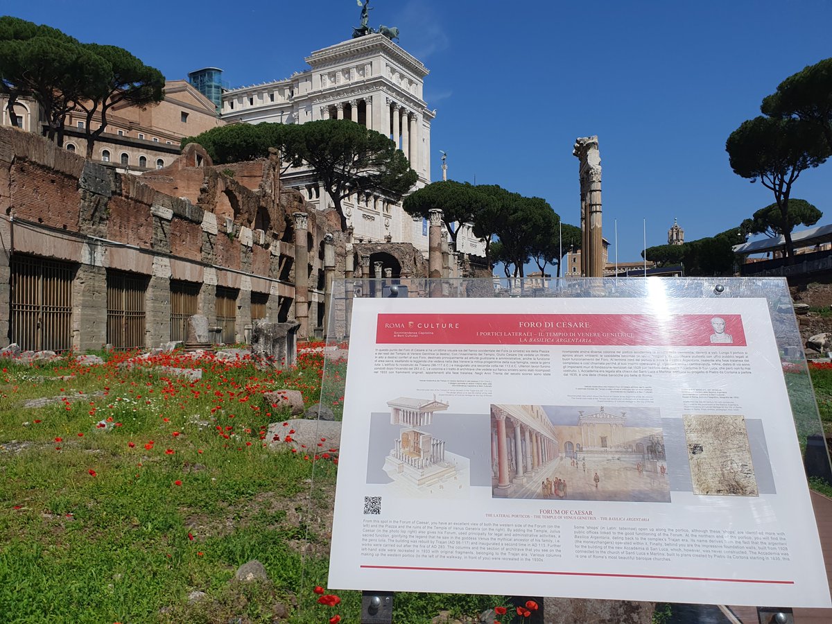 @caputmundiHeidi The poppies looked so beautiful during our visit 2 weeks ago! #ForiImperiali