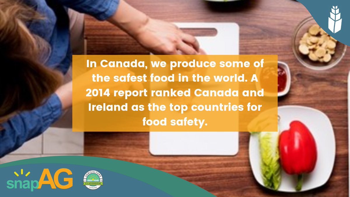 Happy World Food Safety Day! 🥗🍔

We are grateful to live in Canada, where we have some of the highest standards for food safety globally.

Learn more about Canada’s food safety with #snapAG 👉bit.ly/3oybYGE

#FoodSafety #AITCSK #AgEducation #AITC #SaskAg