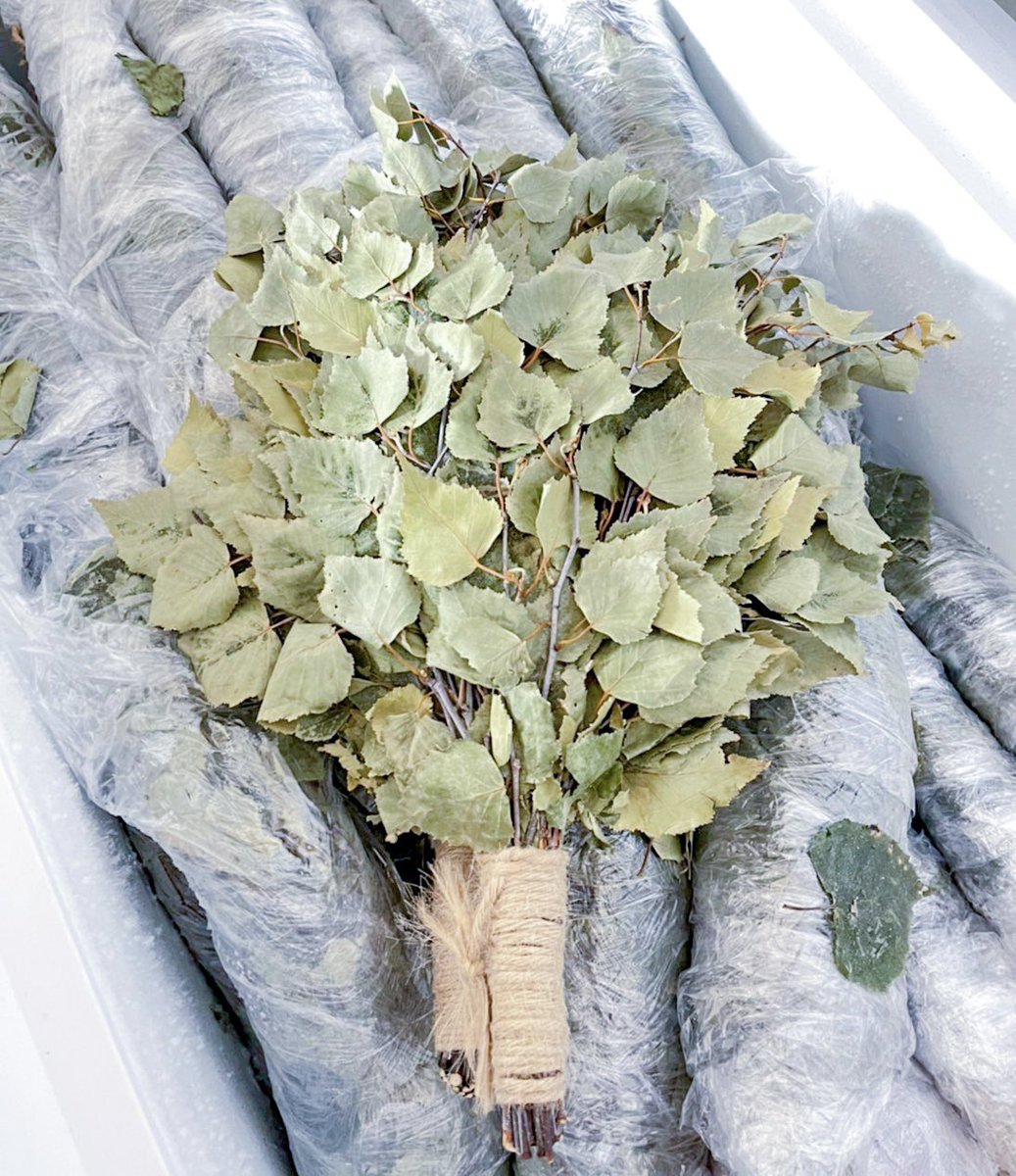 SAUNA TEN - "Birch and cloud forest" tweet media