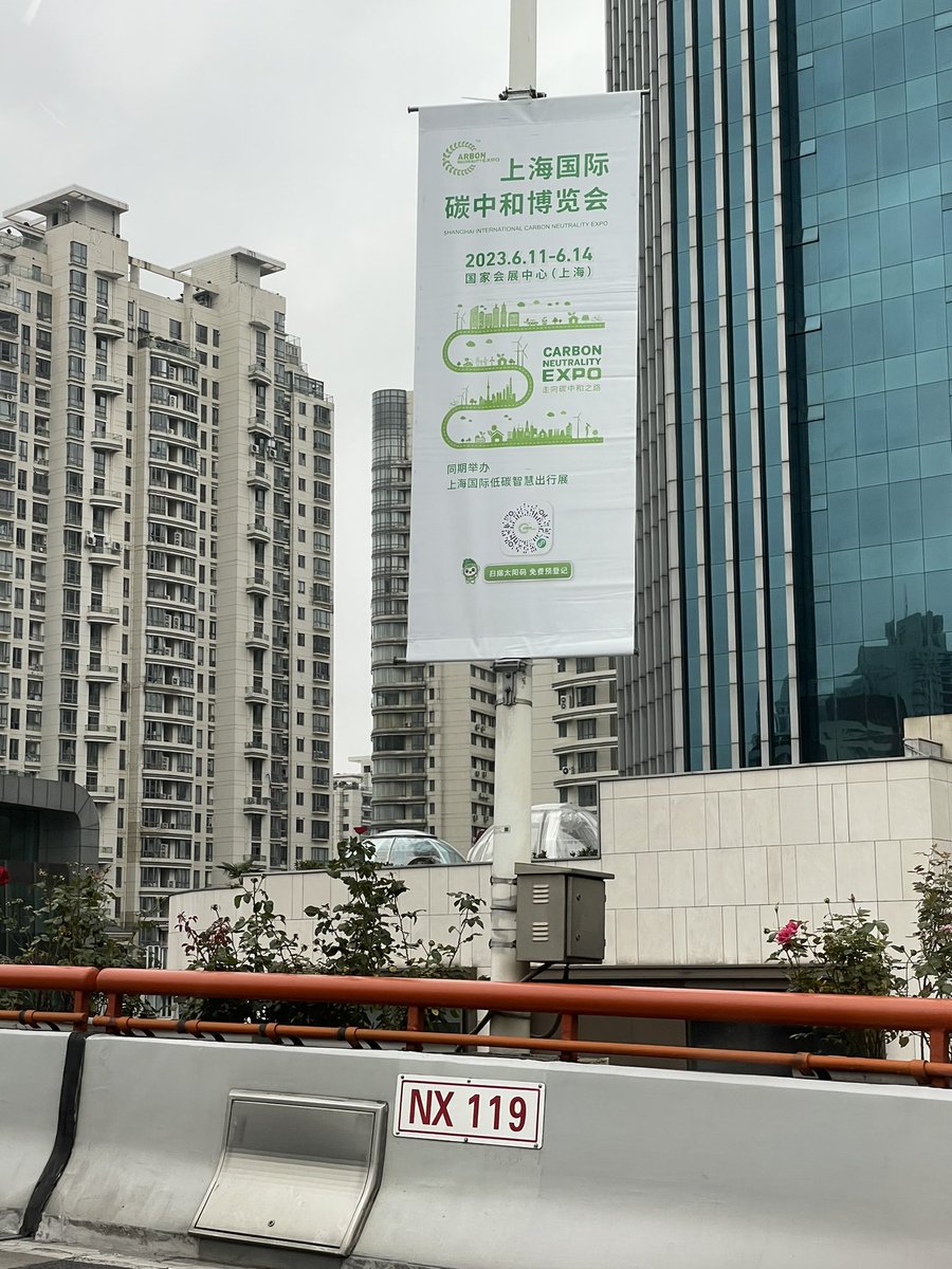 Dr Ana Paula Fonseca tweet media