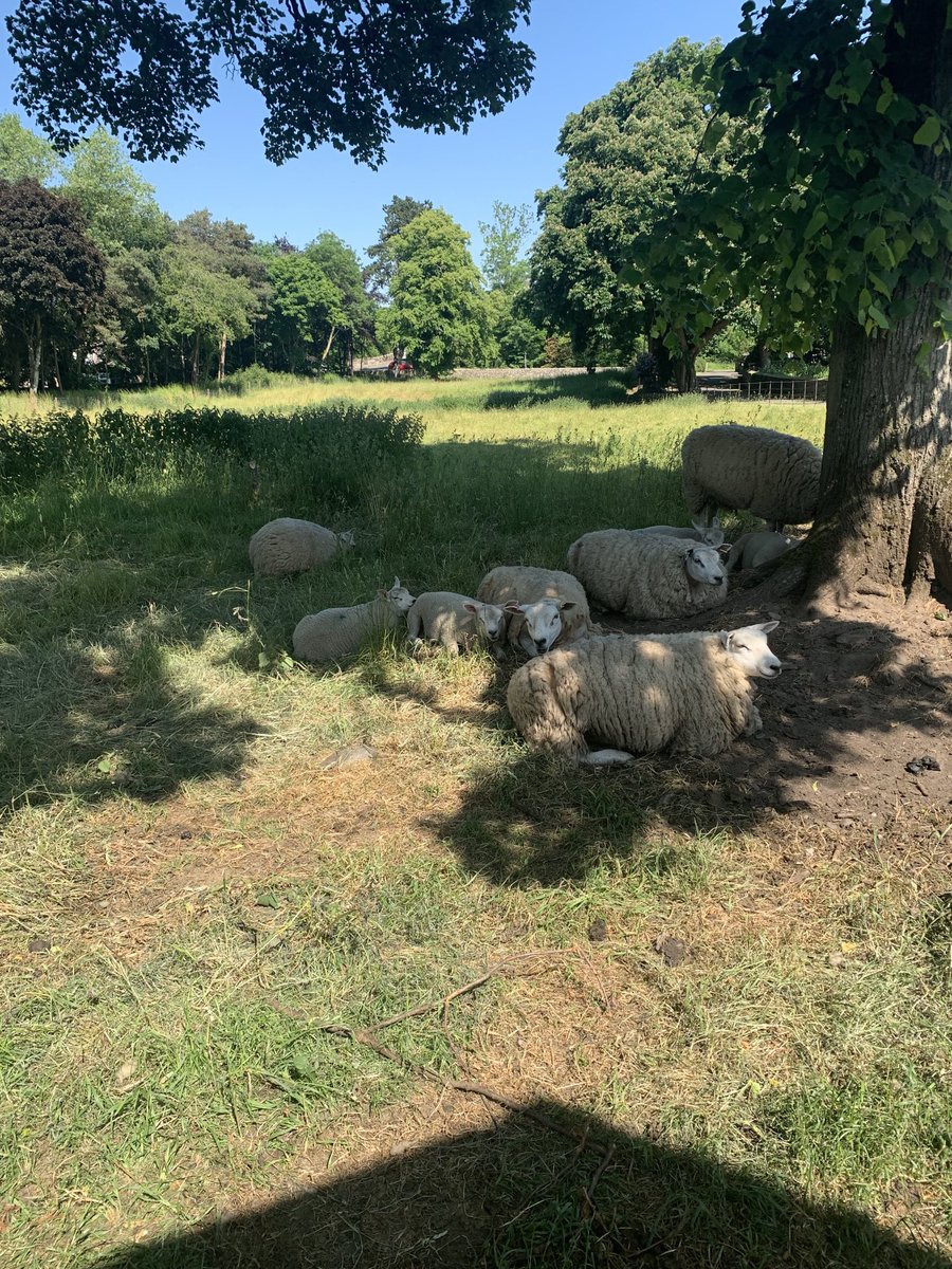 Today’s view from work