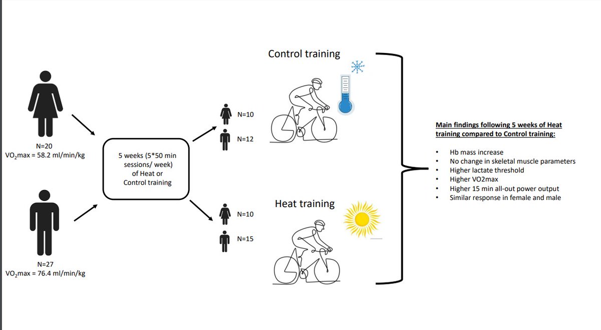 Journal of Applied Physiology (@japplphysiol) on Twitter photo #ArticlesInPress “Hematological, skeletal muscle fiber and exercise performance adaptations to heat training in elite female and male cyclists”
Carsten Lundby, et al.
ow.ly/GS0x50OFVr7
#JAPPL #Brain #Cognition <a href="/BrockFAHS/">BrockU Applied Health Sciences</a> #ArticlesInPress “Hematological, skeletal muscle fiber and exercise performance adaptations to heat training in elite female and male cyclists”
Carsten Lundby, et al.
ow.ly/GS0x50OFVr7
#JAPPL #Brain #Cognition <a href="/BrockFAHS/">BrockU Applied Health Sciences</a>