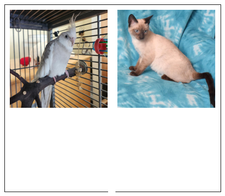 SequoiaHumane's tweet photo. Adopt a dog: https://t.co/TY5ZZVBbGH
Adopt a cat: https://t.co/UPFQIwFAkd
#dog #cat https://t.co/An245UB8PM