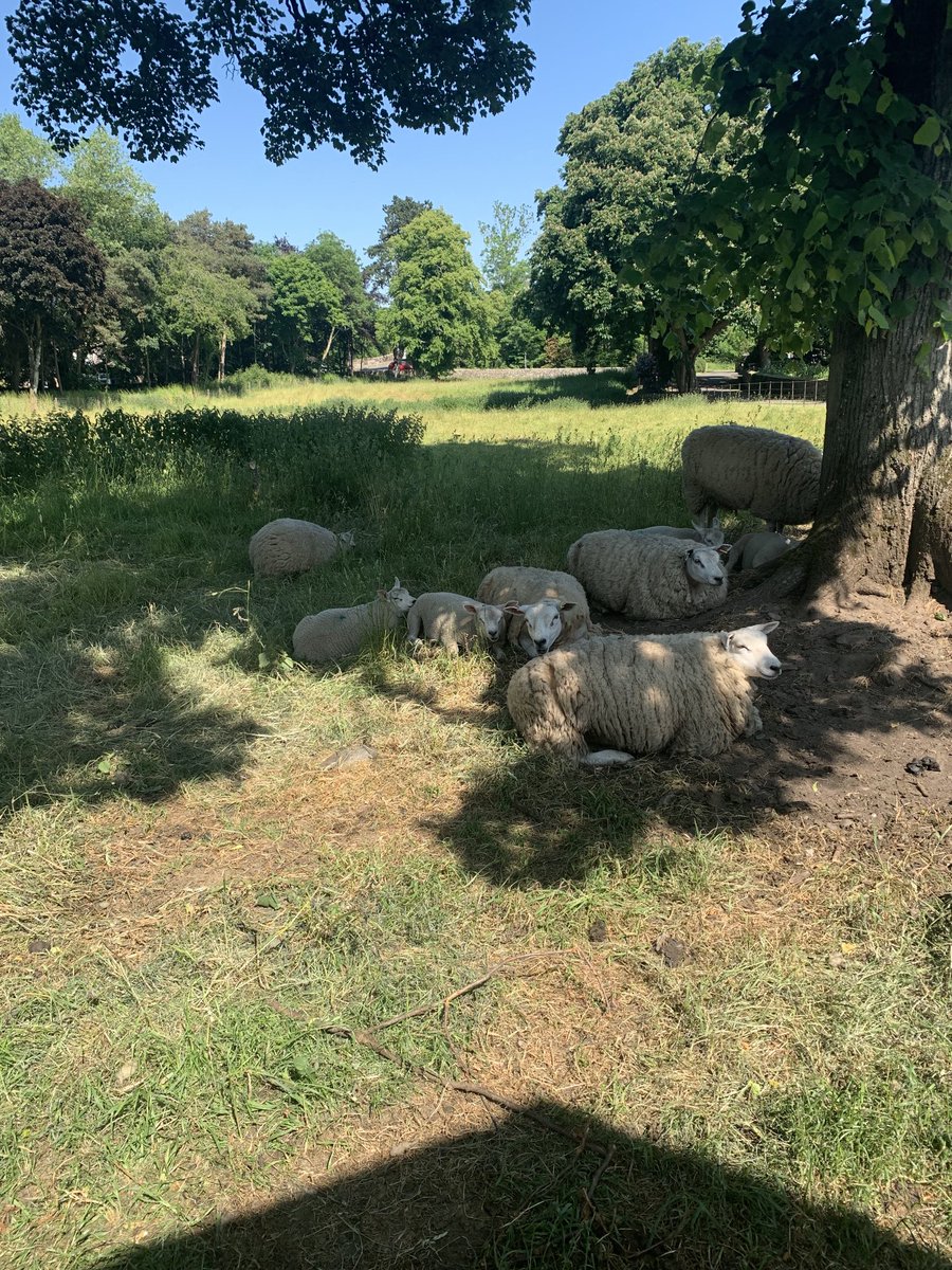 Today’s view from work