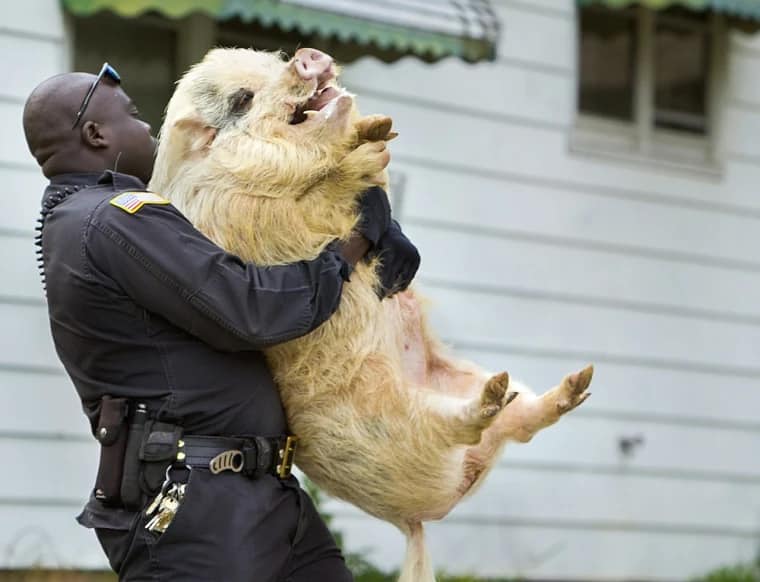 Binance compliance officer arrested