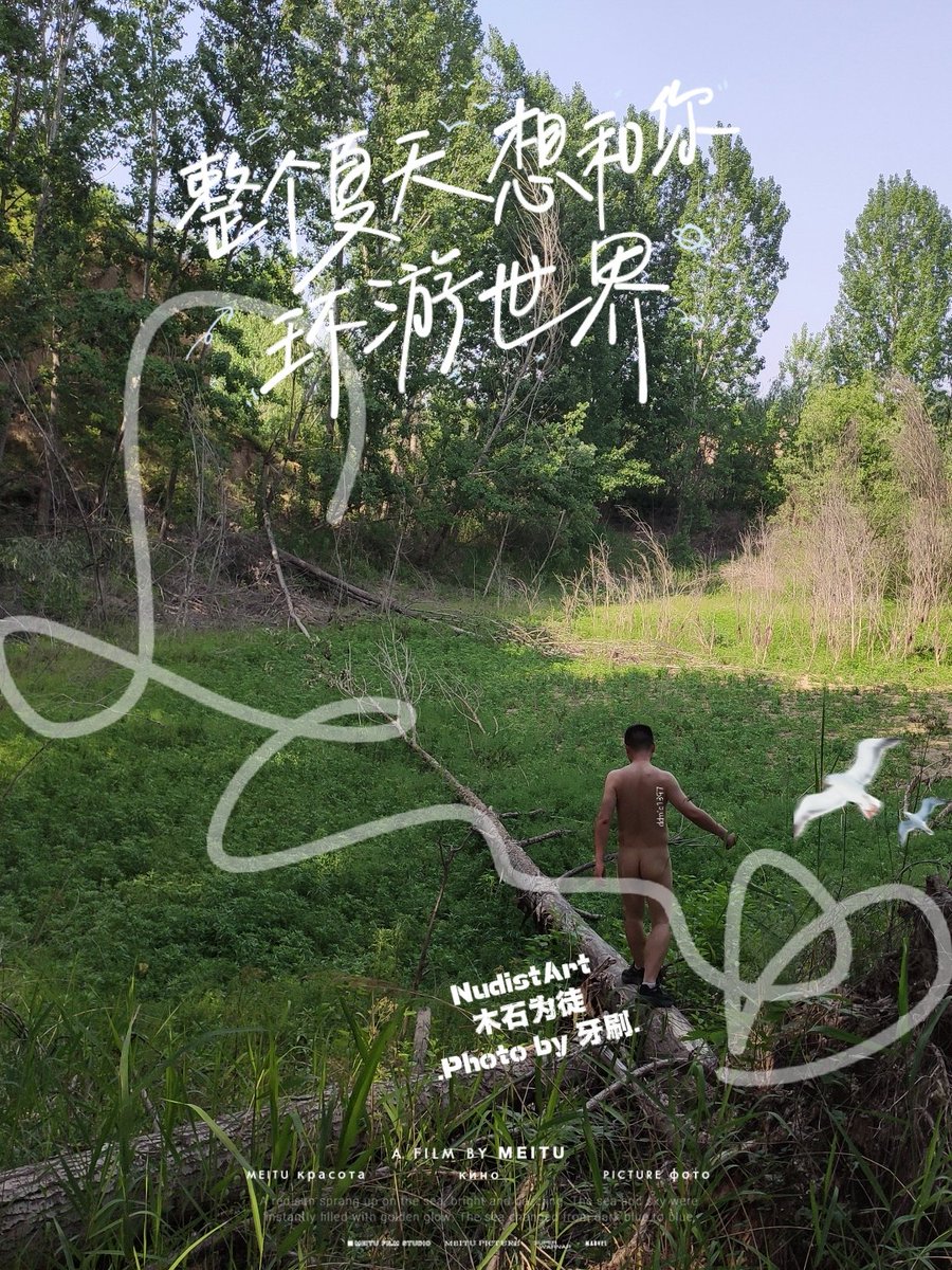 木石为徒的豆 tweet media