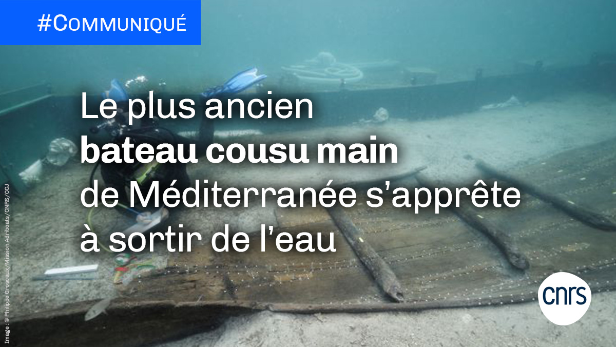 #Communiqué 🗞 Le bateau de Zambratija 🛳 sera étudiée par une équipe franco-croate du @CCJ_CNRS et du Musée archéologique d’Istrie. L’équipe plongera dans la baie de Zambratija à partir du 2 juillet pour prélever les pièces du bateau. ➡ cnrs.fr/fr/le-plus-anc…
