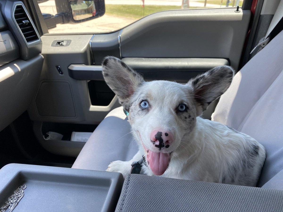 Earl of the South on Twitter "He didn’t know he was going to the