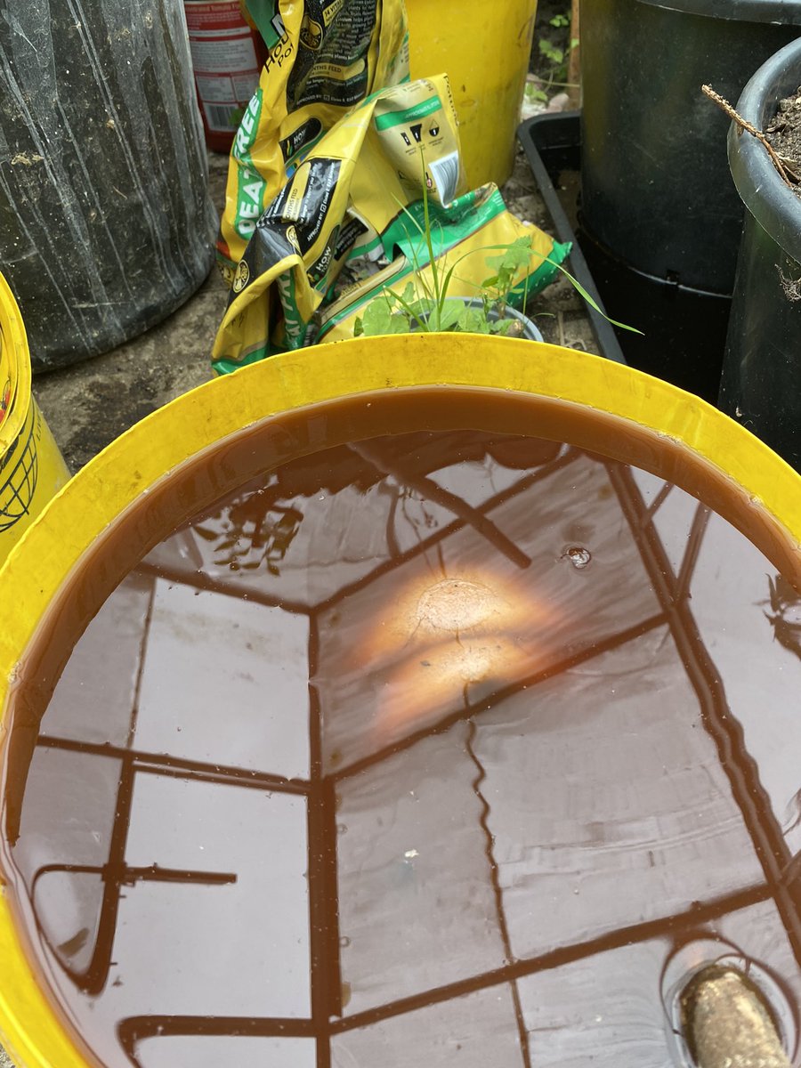 Andy Rumming tweet media