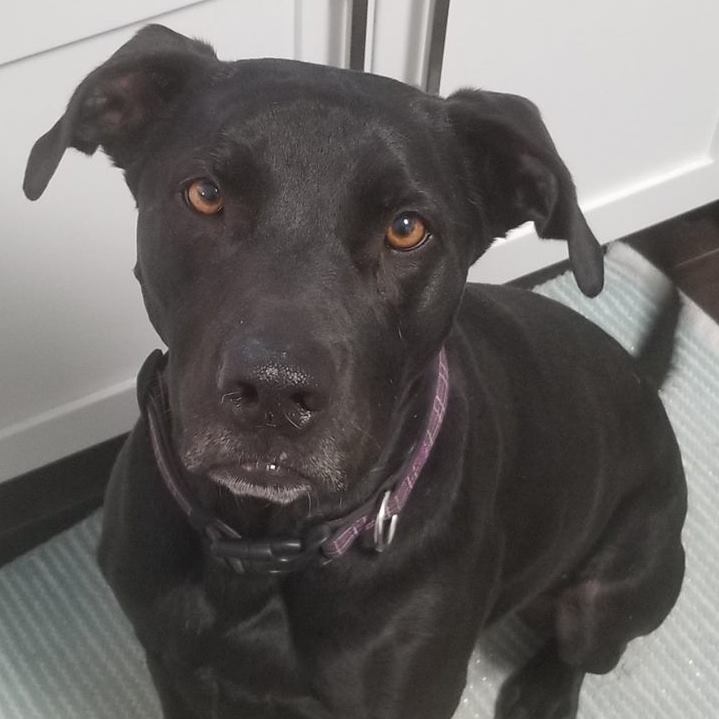 Cancer Girl tweet media