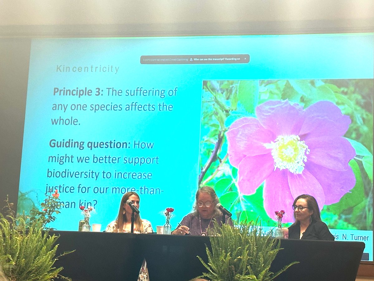 Sensorium Therapeutics (@sensoriumtx) on Twitter photo Amazing keynote opening presentation <a href="/SofEthnobiology/">Society of Ethnobiology</a> #SEBSOE2023, full of insightful ways of thinking about reciprocity in ethnobiology. Amazing keynote opening presentation <a href="/SofEthnobiology/">Society of Ethnobiology</a> #SEBSOE2023, full of insightful ways of thinking about reciprocity in ethnobiology.