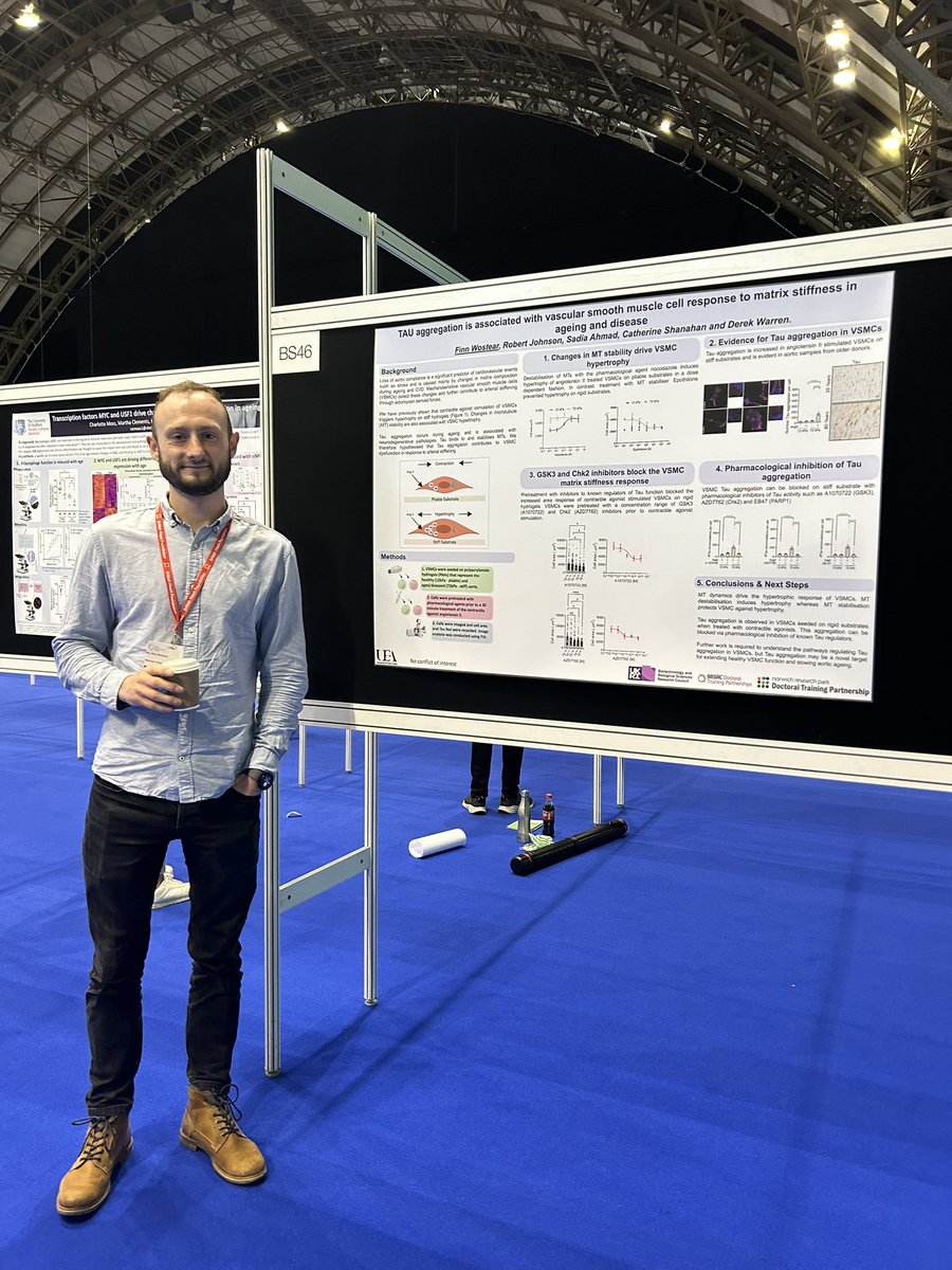 Vascular Research Lab UEA tweet media