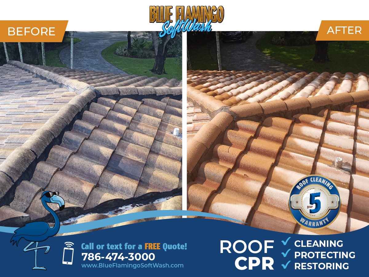 See Your Home in a New Light with Our Roof and Exterior Cleaning Services!

BlueFlamingoSoftWash.com/miami/roof-cle…

#BlueFlamingoSoftWash #SoftWash #SoftWashing #ExteriorCleaning #RoofCleaning #RoofSoftWashing #RoofMaintenance #PropertyCare #CurbAppeal #HomeImprovement