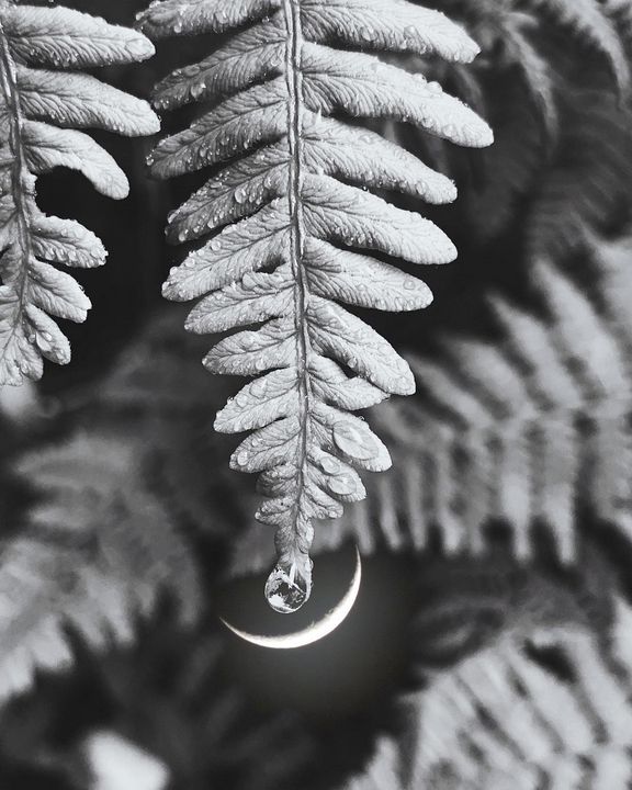 mm1_0's tweet photo. Art of the Day: "Black and White Moon Drop". Buy at: https://t.co/mcoTo5ZJYL https://t.co/RrSCVeKPHe