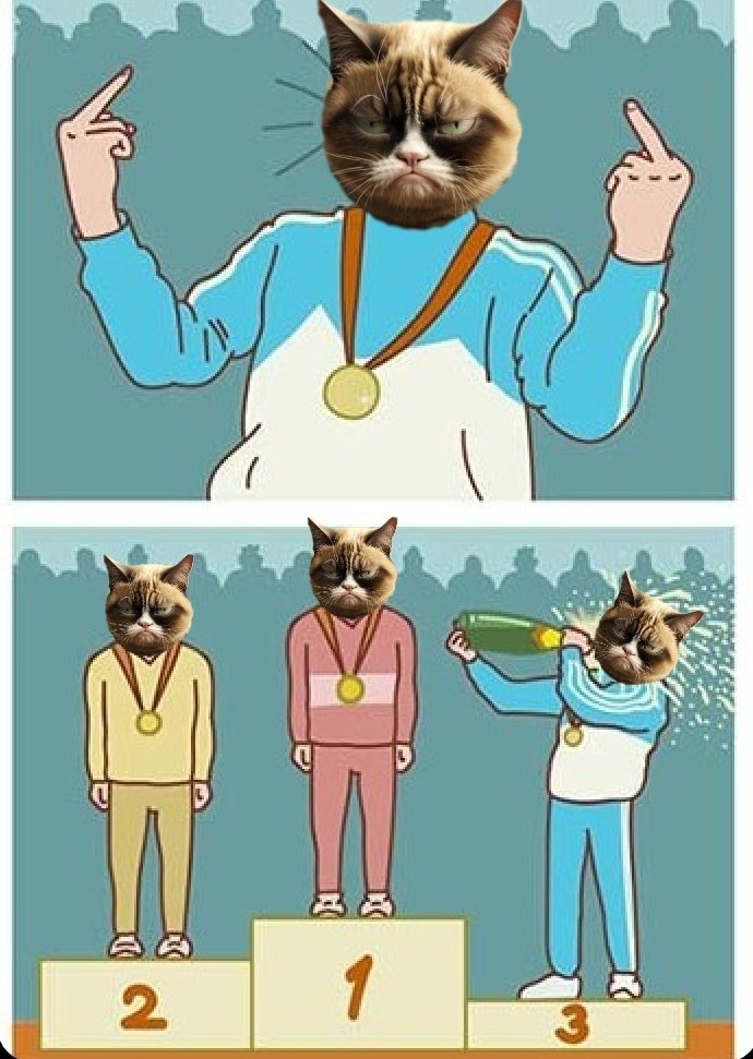 Fukigen_Umi's tweet photo. Uhhh... Definitely #GrumpyCatCoin

Either way @GrumpyCat_Coin going to the moon soon 💯🏆

#binance #GrumpyCatArmy #GrumpyCatMovement https://t.co/deq8orSxkY
